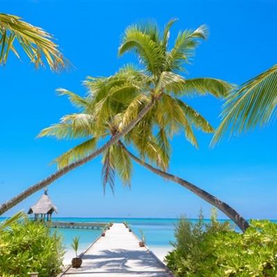 真人斗牛牛最新版app下载