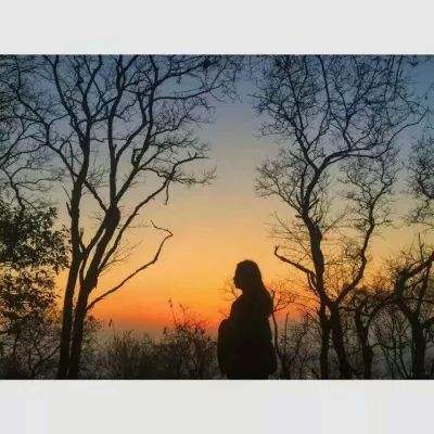 BET9登录APPapp下载