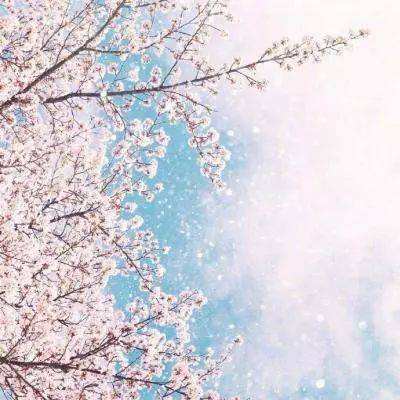 大发黄金版app下载app下载