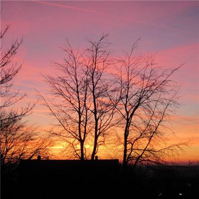 8188www威尼斯手机app下载